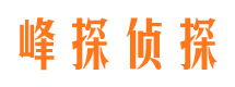 蒙城市场调查